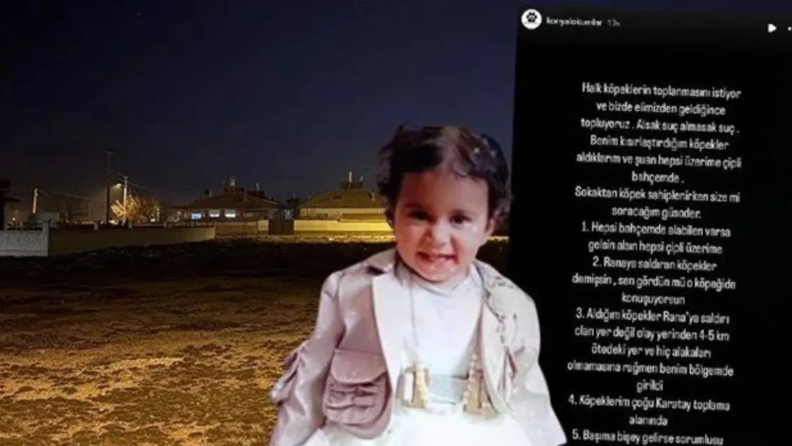 rana-nin-olumune-neden-olan-kopekler-kacirildi-mi