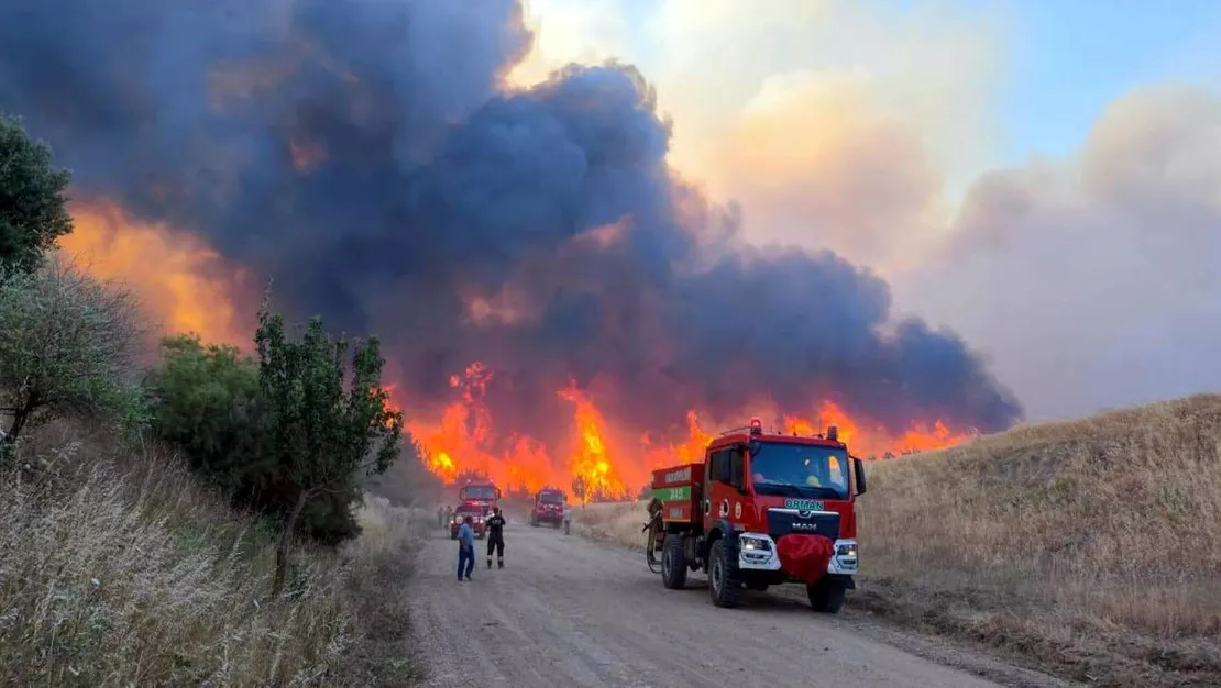 tekirdag-da-orman-yangini-devam-ediyor