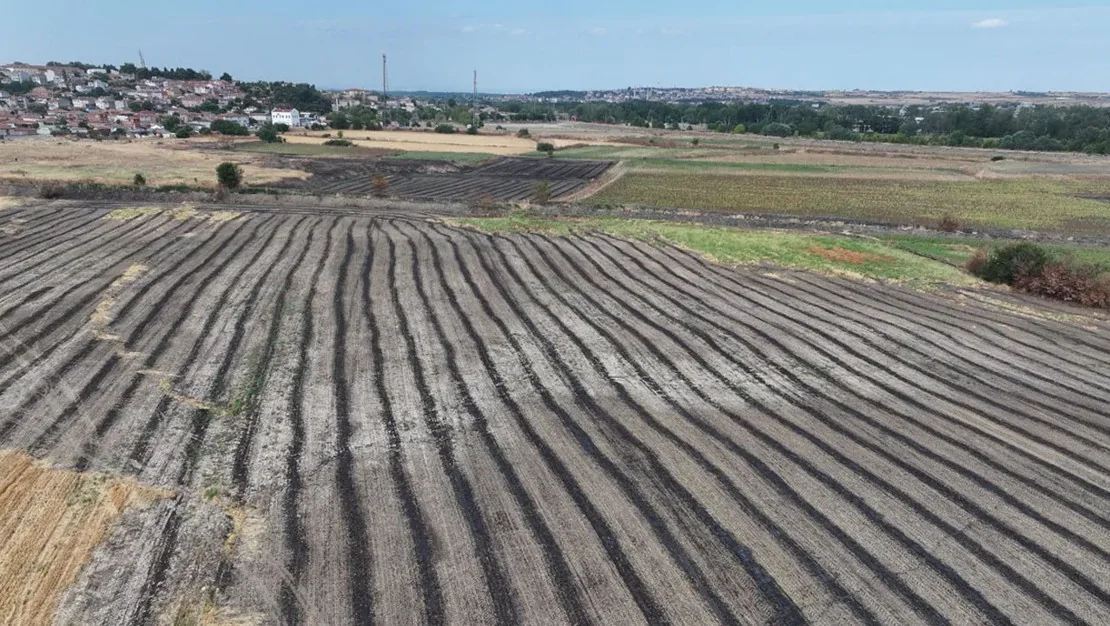 aniz-yakmak-topragi-olumsuz-etkiliyor