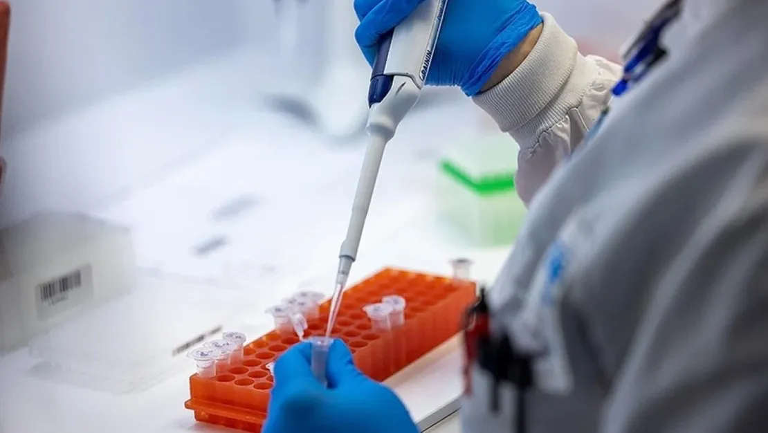 dso-tanzanya-da-marburg-salgini-sona-erdi