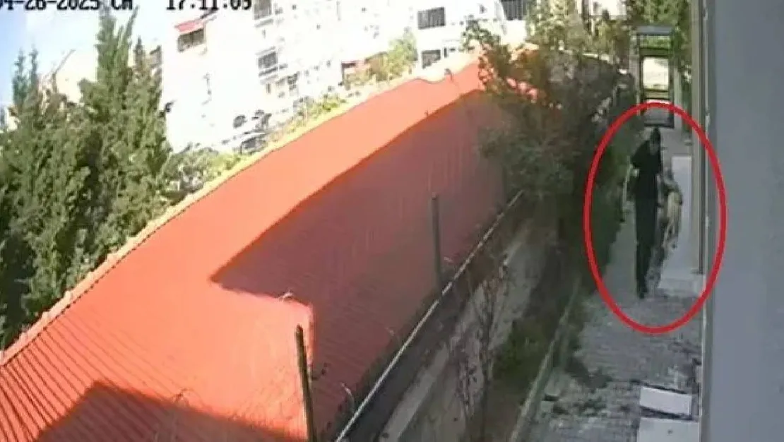 doktor-duman-kopekleri-oldurmekten-tutuklandi