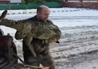 camura-saplanan-karacanin-kurtarilmasi-icin-ekipler-seferber-oldu