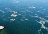 marmara-da-musilaj-tekrar-goruldu