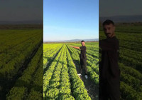 izmirli-ciftciye-stokculuk-iddiasiyla-islem-baslatildi