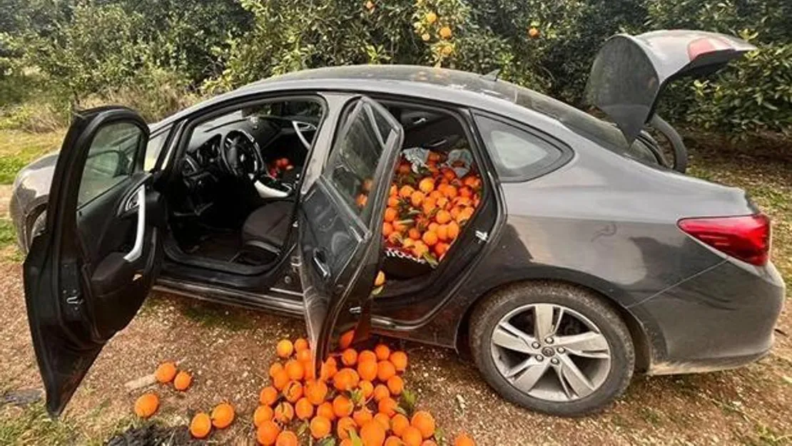 hirsizlik-yapan-supheli-sucustu-yakalandi