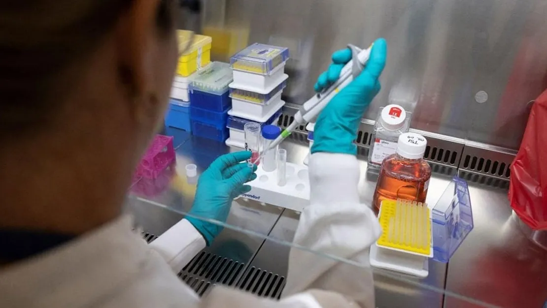 deneysel-asi-bobrek-kanseri-icin-umut-veriyor