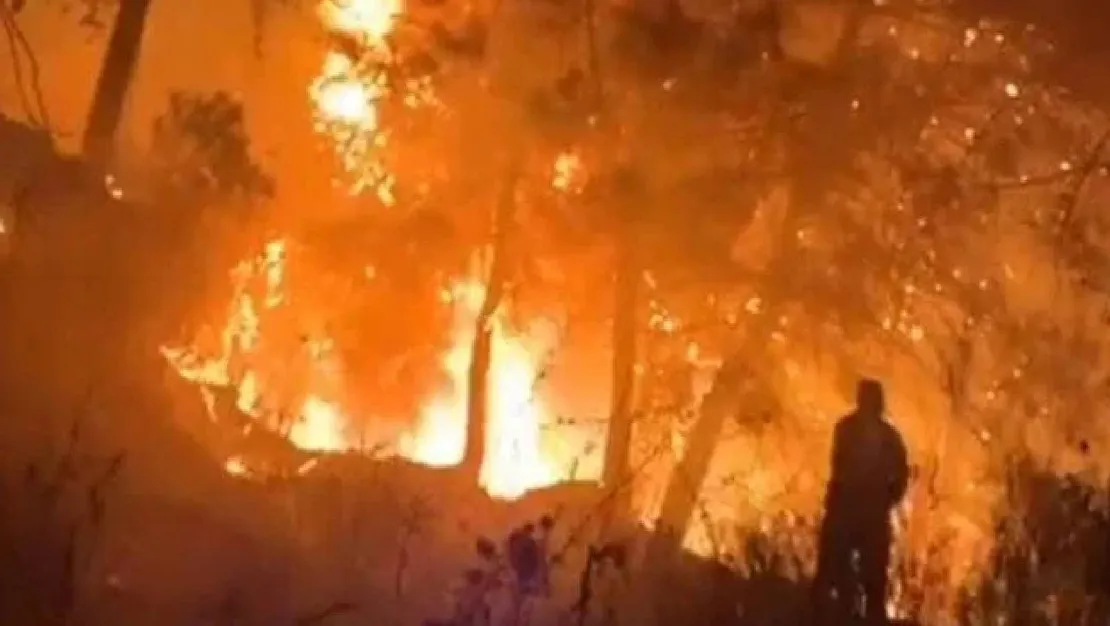 tomruksuyu-mahallesi-nde-yangin-kontrol-altinda