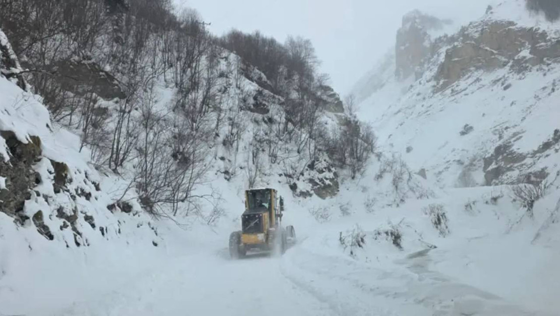 artvin-de-cig-alarmi-ekipler-bolgeye-sevk-edildi
