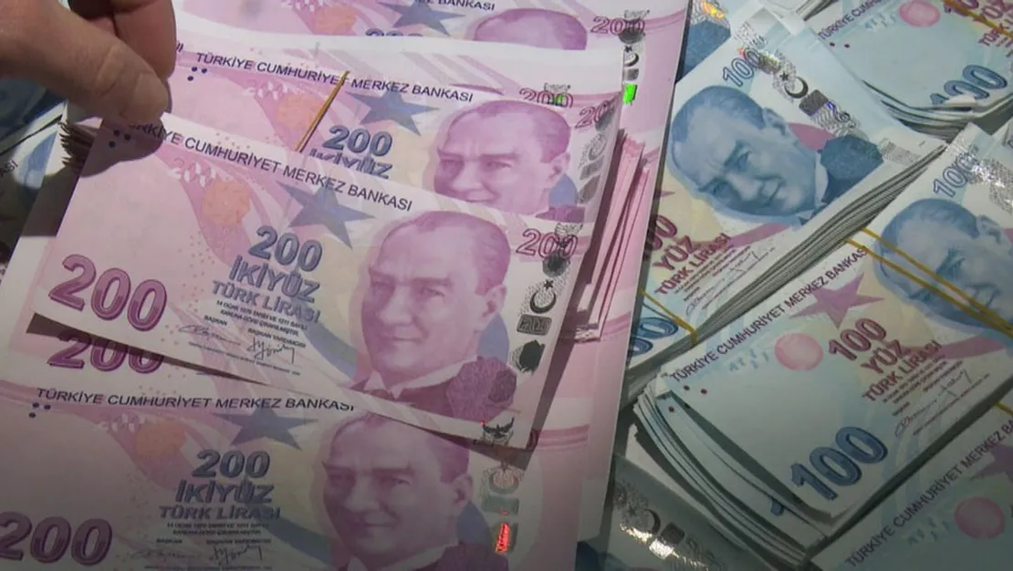 tl-nin-reel-degeri-46-ayin-zirvesinde