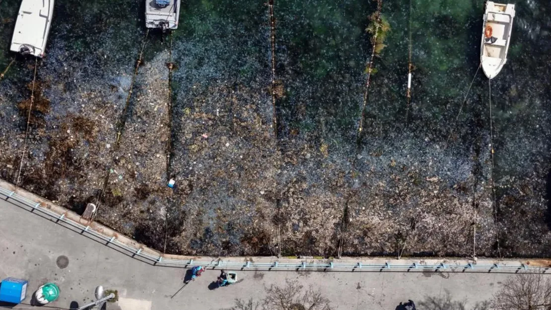 istanbul-bogazi-nda-kirlilik-tehlikesi-var