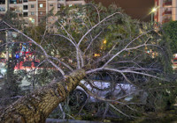 agac-otomobilin-uzerine-devrildi-guvenlik-onlemleri-alindi