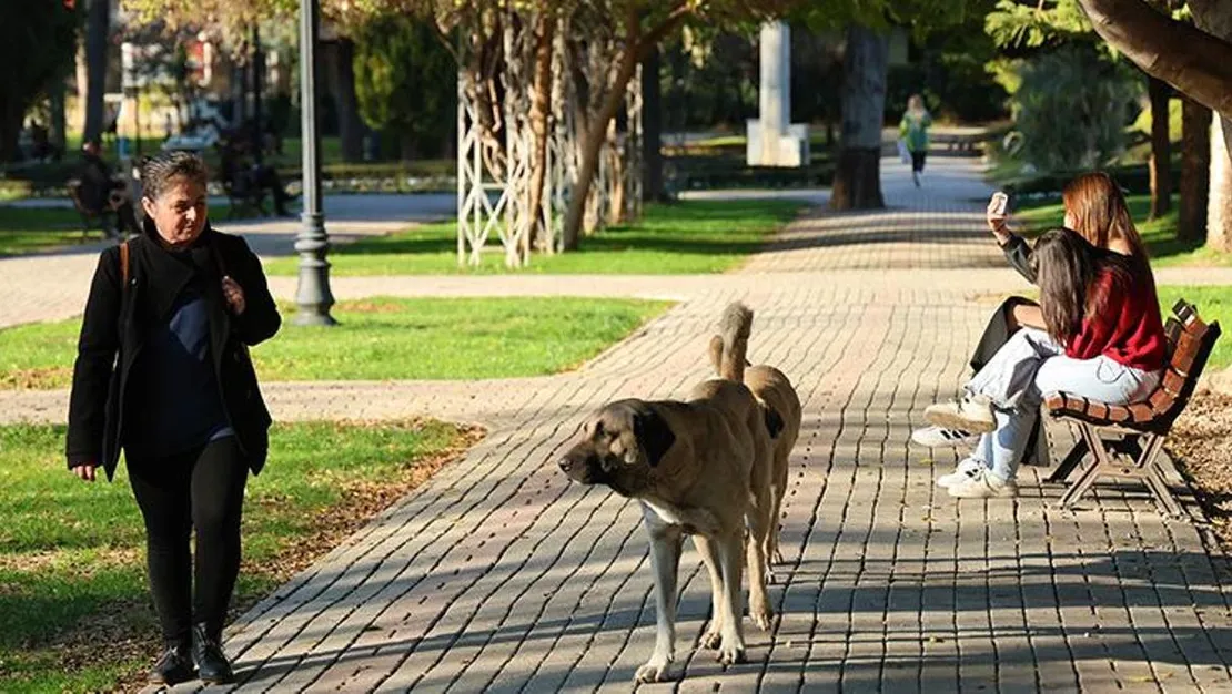 adana-gunesli-havanin-keyfini-cikariyor