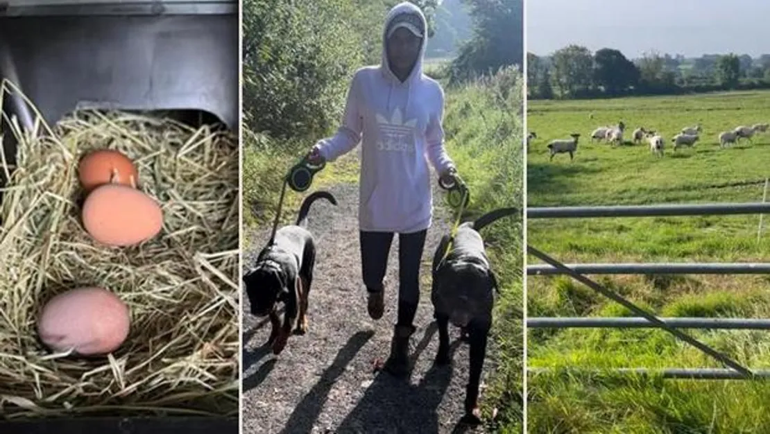 unlu-sarkici-koyune-geri-dondu