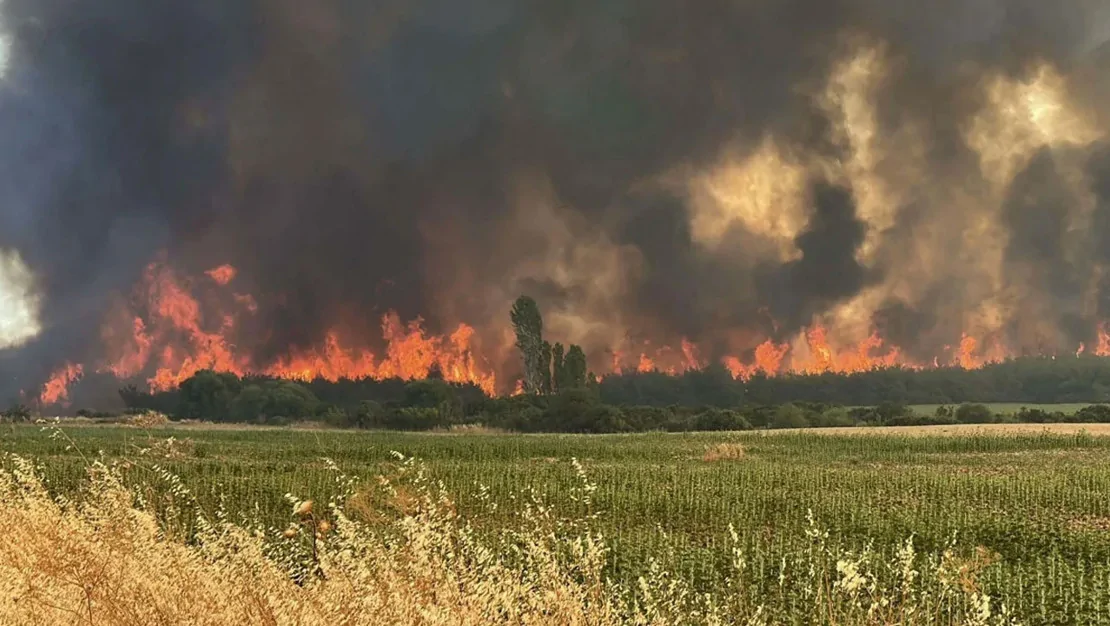 yeni-yangin-tedbirleri-alindi