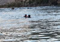 cizre-de-dicle-nehri-ne-dusen-genc-icin-arama-baslatildi