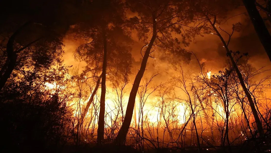 antalya-da-orman-yangini-2-otel-tahliye