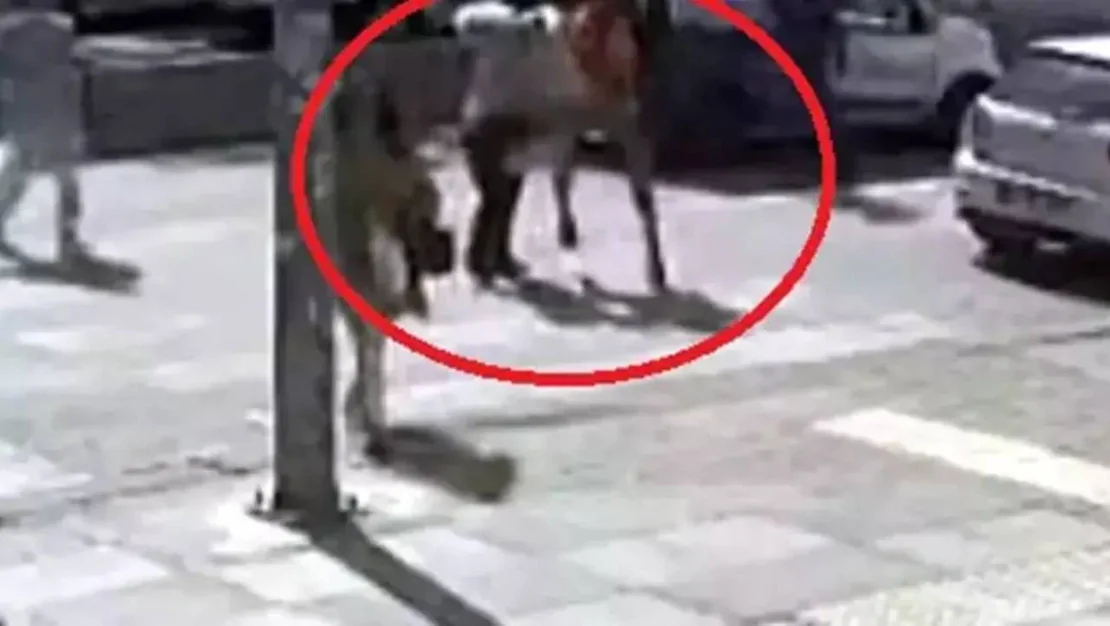 kadin-yaya-gecidinde-darbeye-ugradi