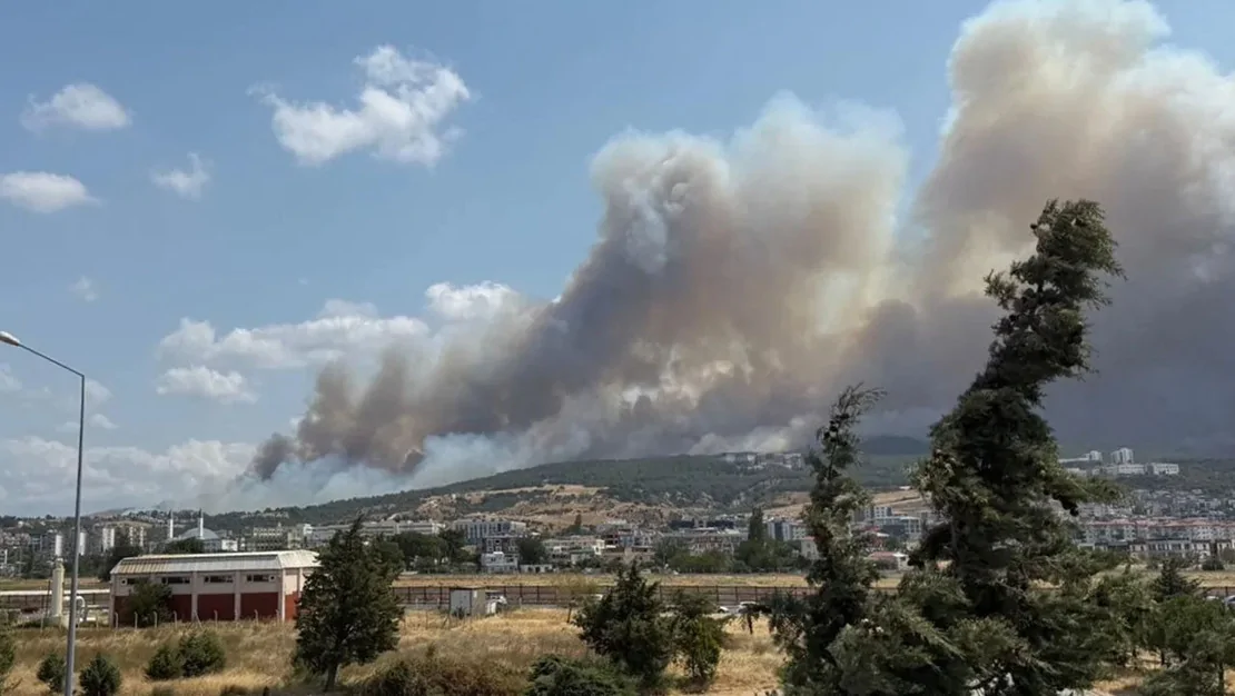 canakkale-yanginlari-kontrol-altinda-alindi