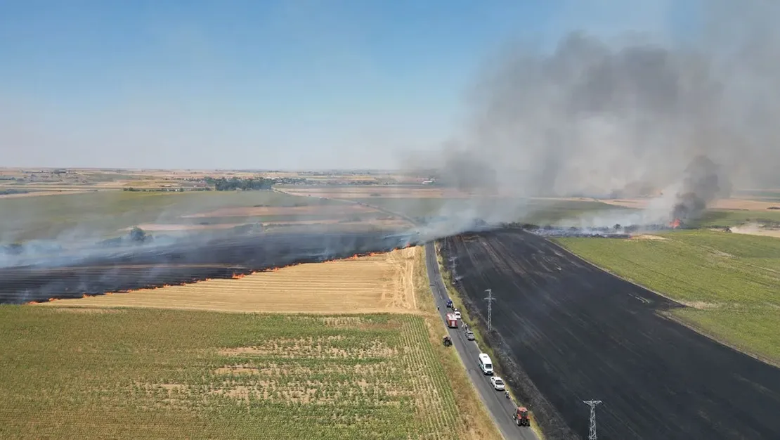 tekirdag-da-tarim-alaninda-yangin-cikti