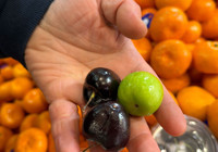 manavlar-singapur-dan-mevsim-disi-meyve-getiriyor