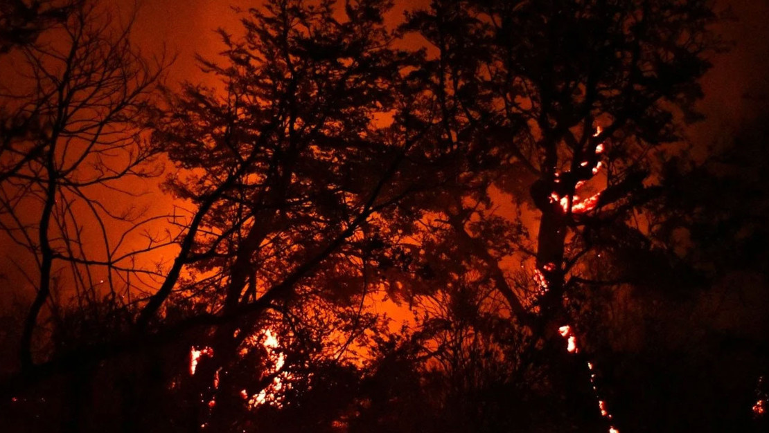 arjantin-orman-yanginlari-50-bin-hektar-yok-oldu