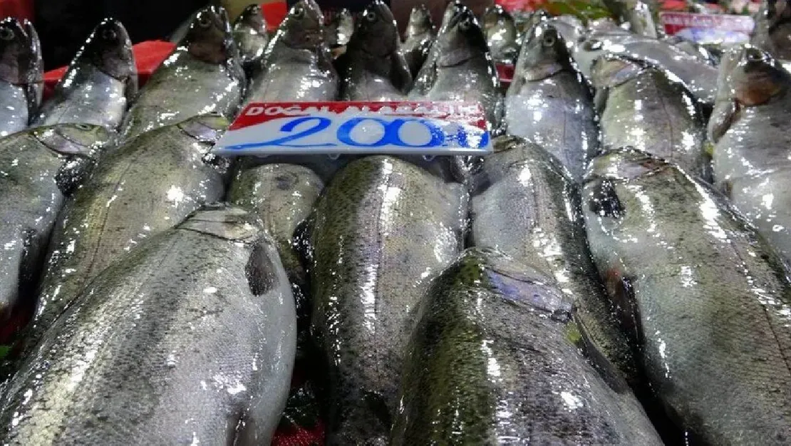 balik-tezgahlarina-yogun-ilgi-fiyatlar-sabit-kaldi