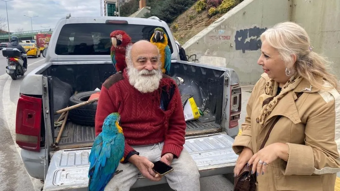 istanbul-un-papaganli-amcasi-ilgi-odagi