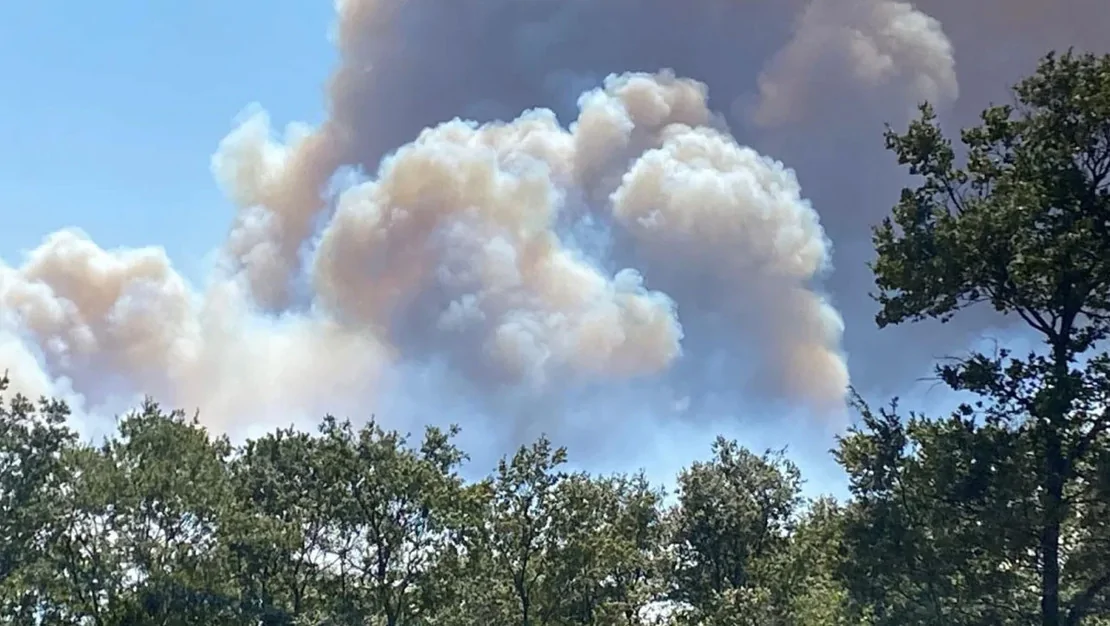 karamursel-de-orman-yangini-basladi