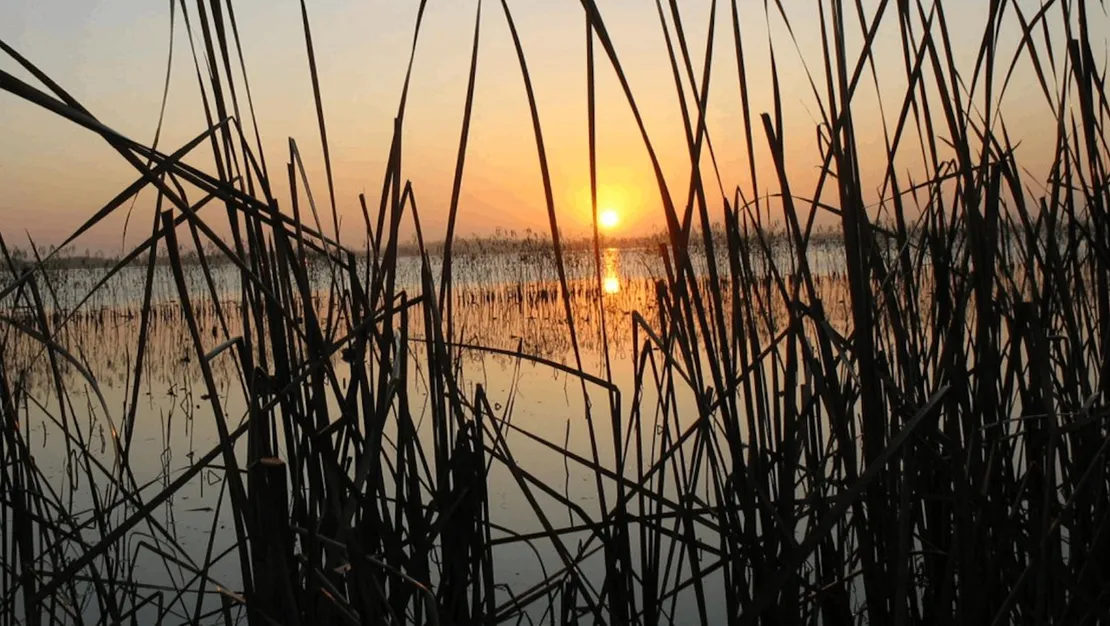 arkadasini-yaralayan-tufek-kazasi-inceleme-baslatildi