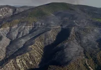 yangindan-sonra-yaralar-acik