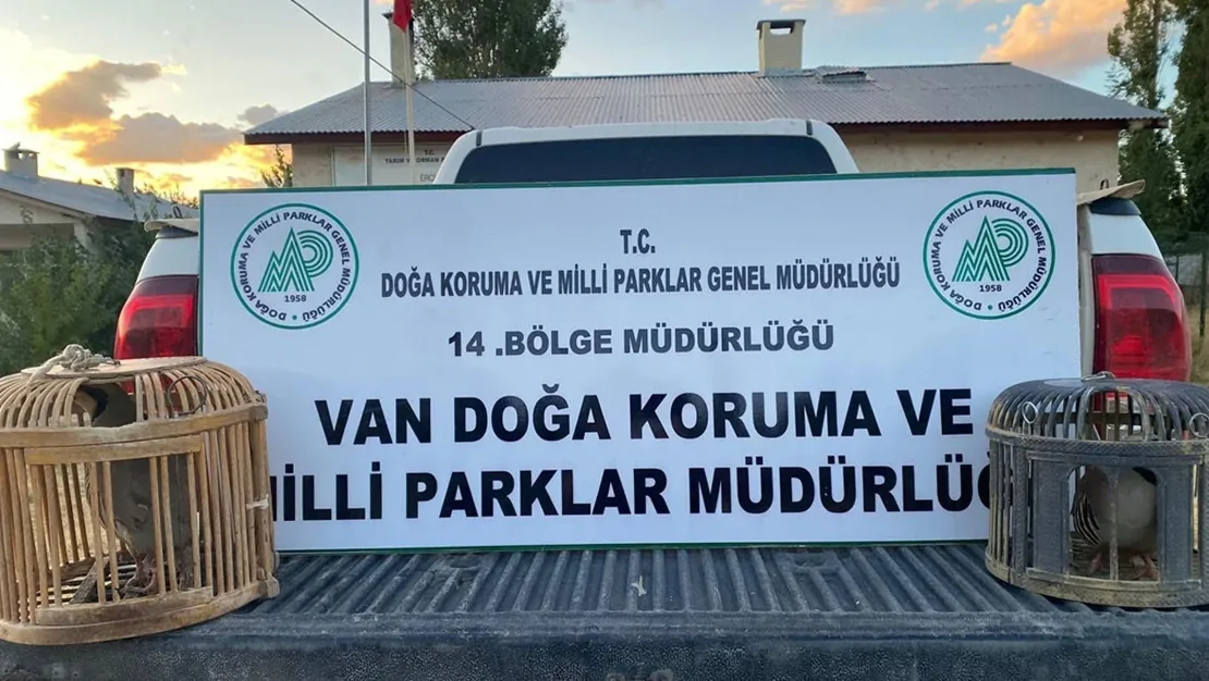 van-da-keklik-avciligina-ceza