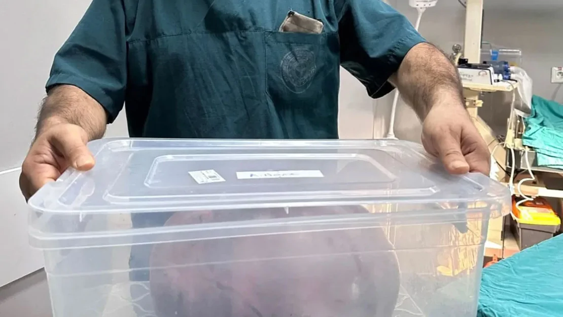 yumurtaliginda-kitle-belirlendi-ameliyat-yapildi