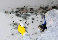 evdeki-nem-ve-kufu-boyle-yok-edin