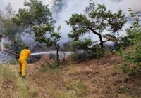 kahramanmaras-ta-orman-yangini-devam-ediyor