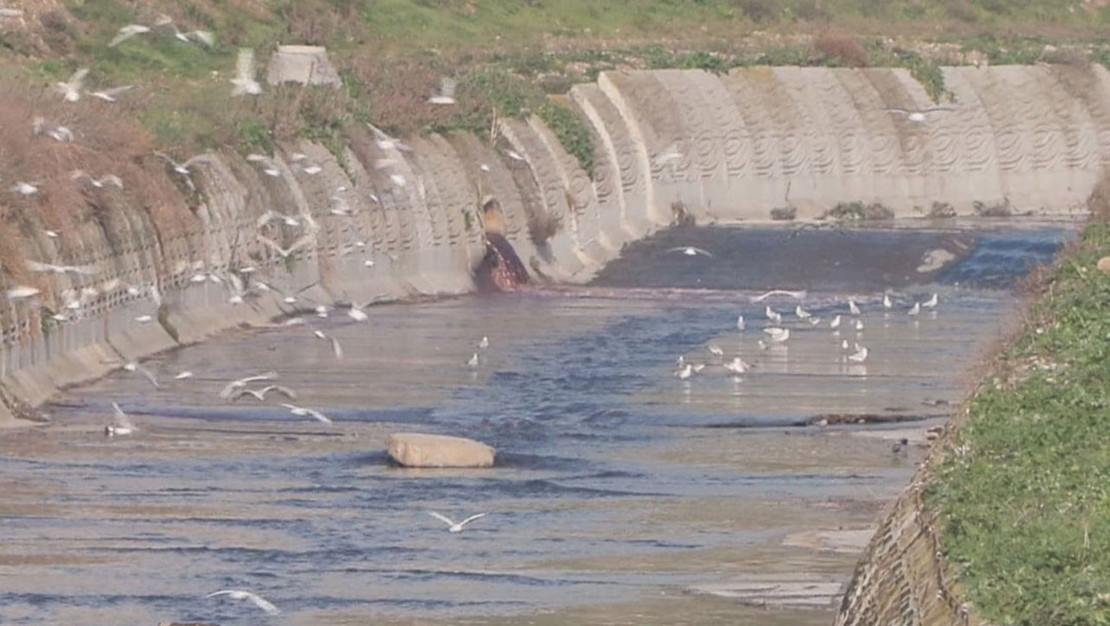 haramidere-deki-kirlilik-mahalle-sakinlerini-endiselendiriyor