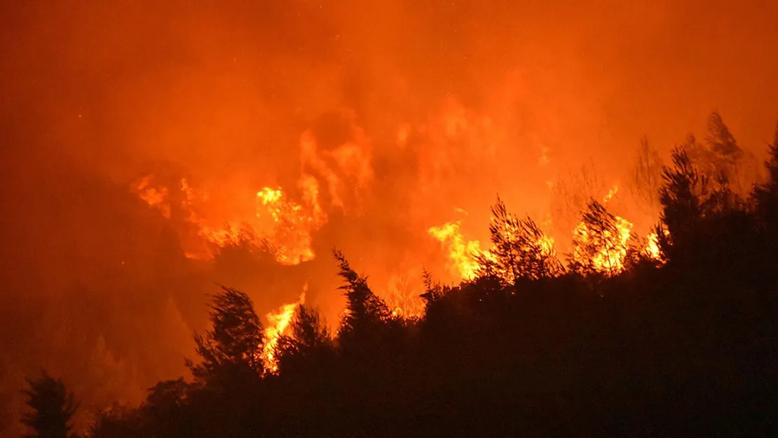 buca-orman-yangini-gaziemir-e-ulasti