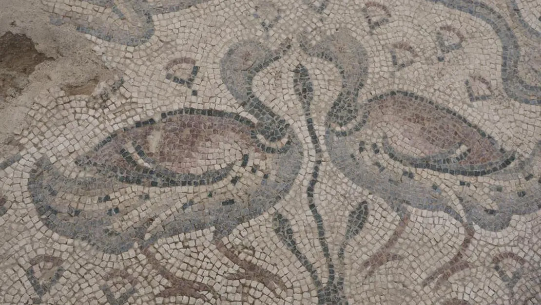 elazig-da-roma-donemi-ne-ait-mozaigi-bulundu
