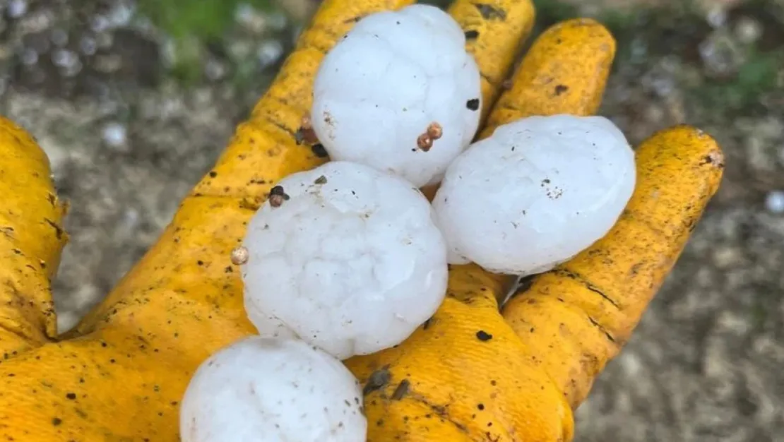 kahramanmaras-ta-ceviz-buyuklugunde-dolu-yagdi