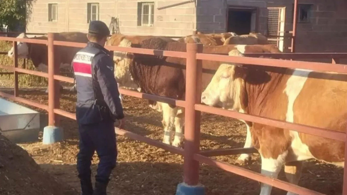 nevsehir-de-boga-sikistirdigi-besici-hayatini-kaybetti