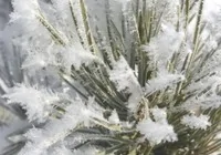 ardahan-da-soguklar-ve-kar-yagisi-hakim