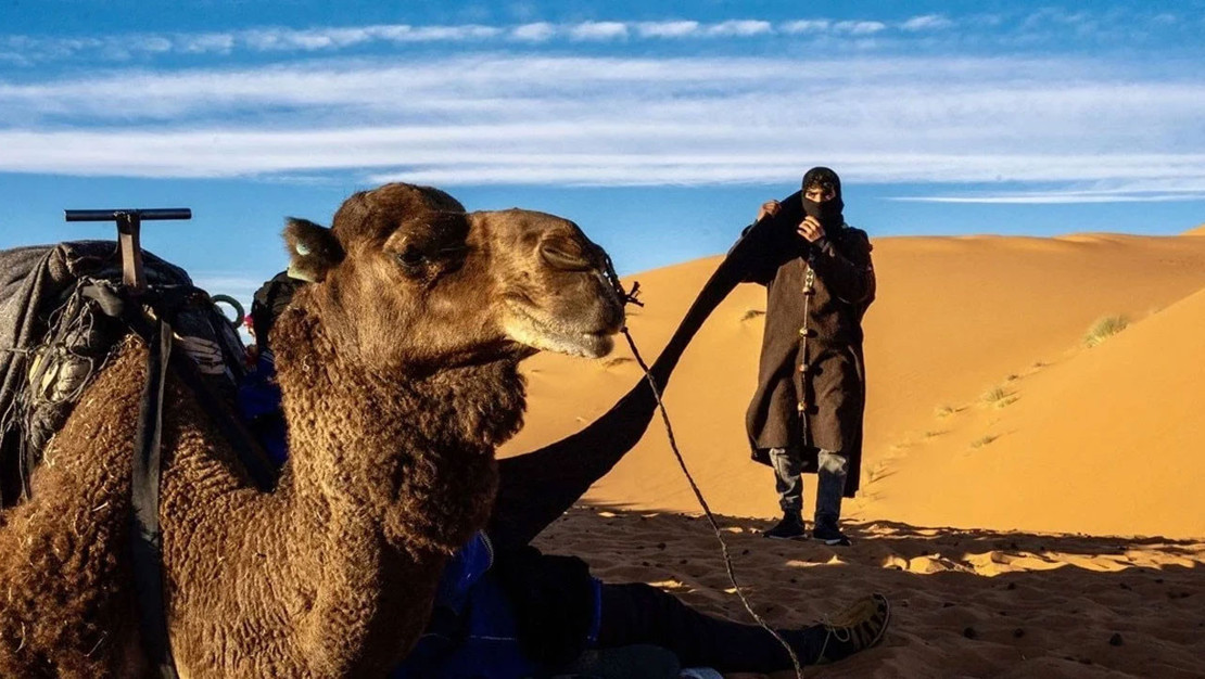 suudi-arabistan-dan-global-pazara-deve-pasaportu-projesi