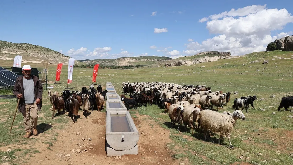 mardin-in-meralari-gunesle-sulaniyor