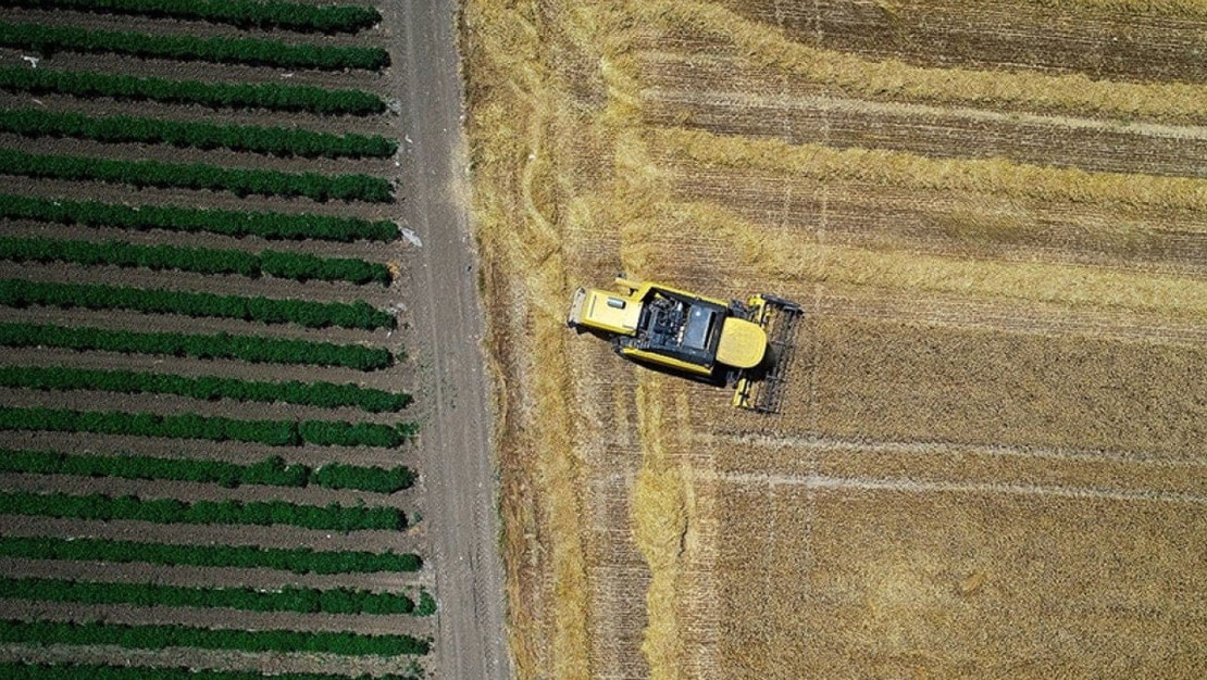 turk-tarim-sektoru-2025-te-ihracat-rekoru-kirdi