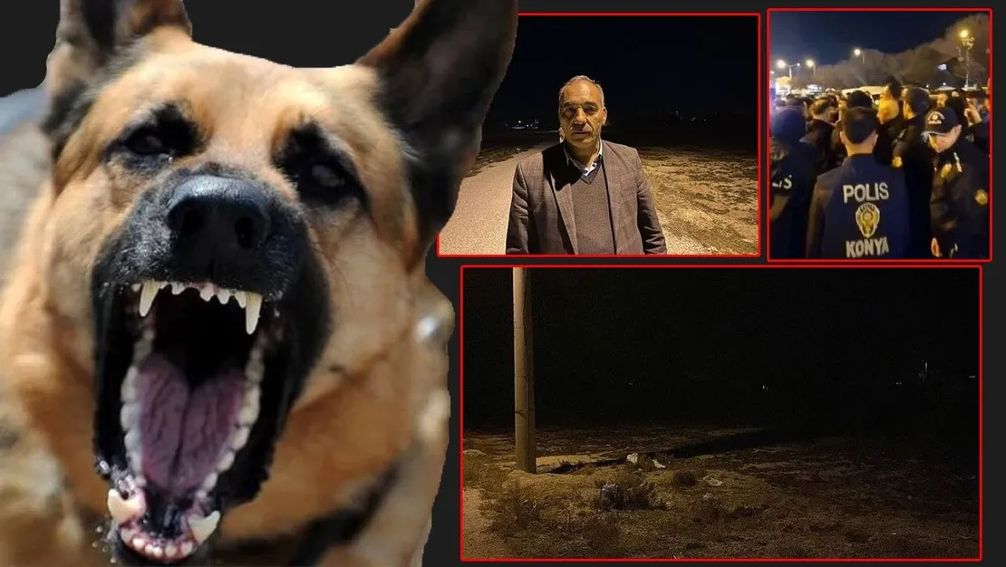 basibos-kopekler-iki-cocugu-katletti-tepkiler-cig-gibi