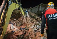 aksaray-da-mandira-coktu-cok-sayida-hayvan-telef-oldu