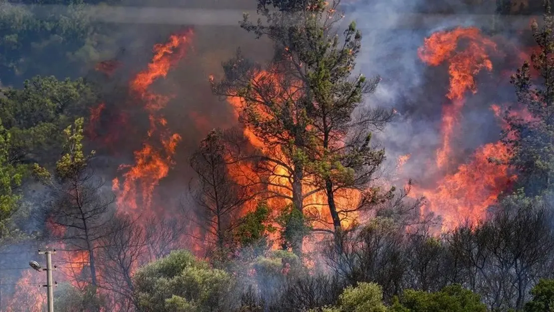 gediz-elektrik-yanginlar-elektrik-kaynakli-degil