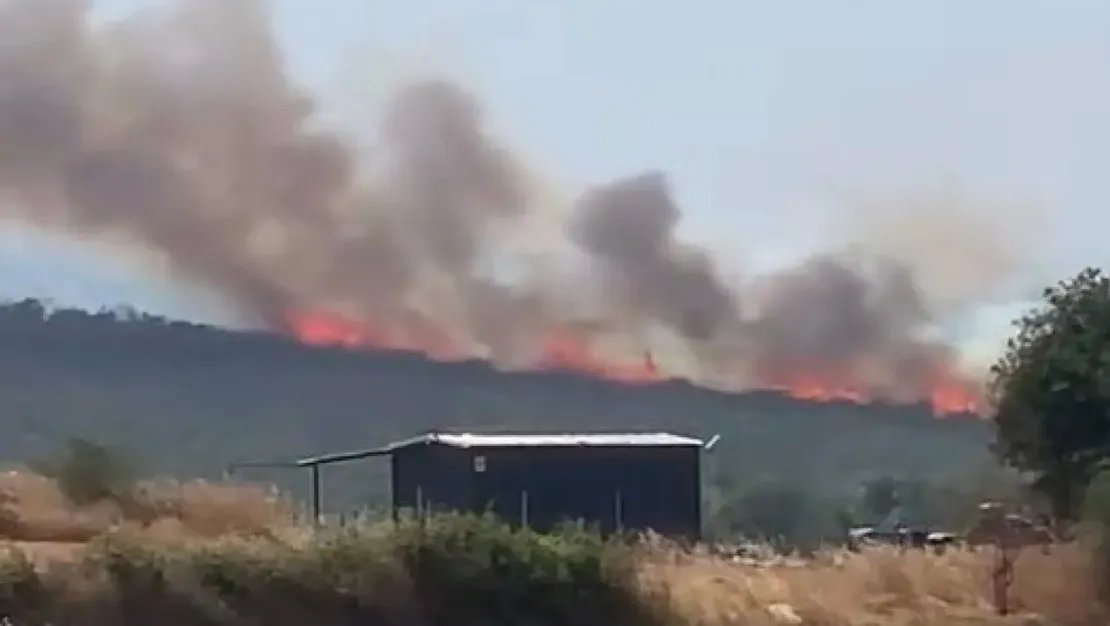 bursa-da-iki-noktada-orman-yangini