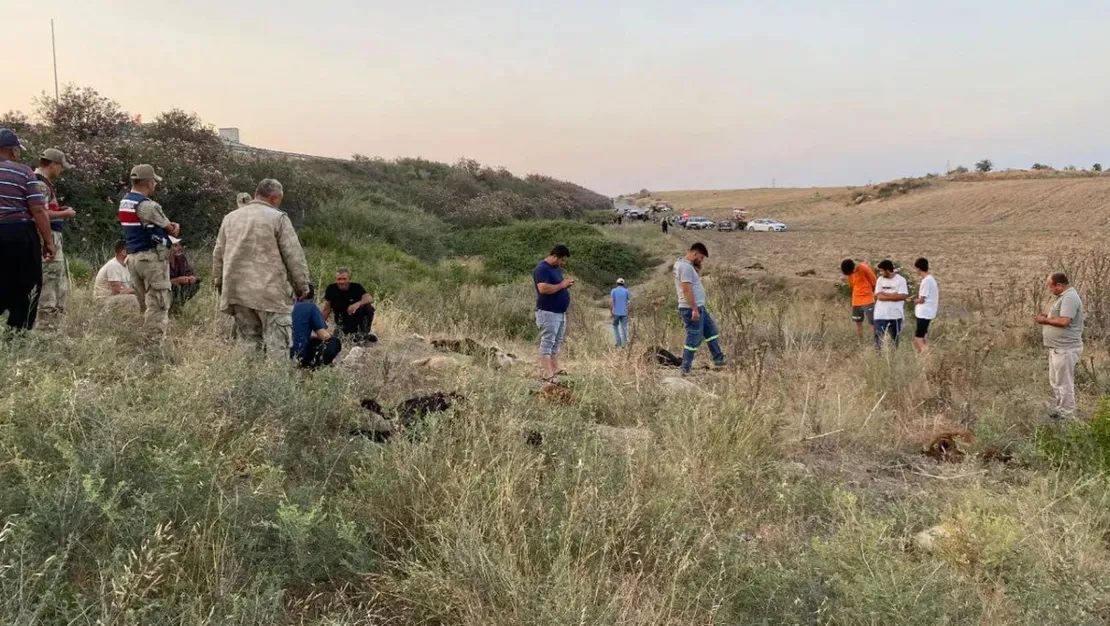 64-kucukbas-hayvan-telef-oldu