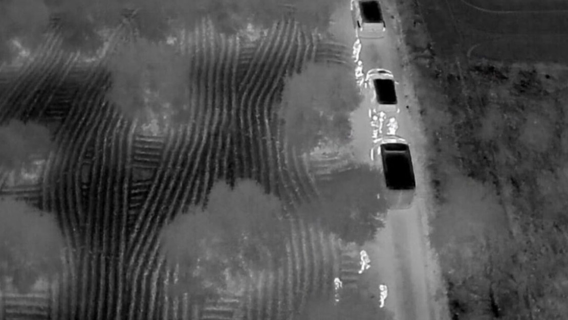 hatay-da-zeytin-bahcesinde-yuz-binlerce-uyusturucu-hap-ele-gecirildi