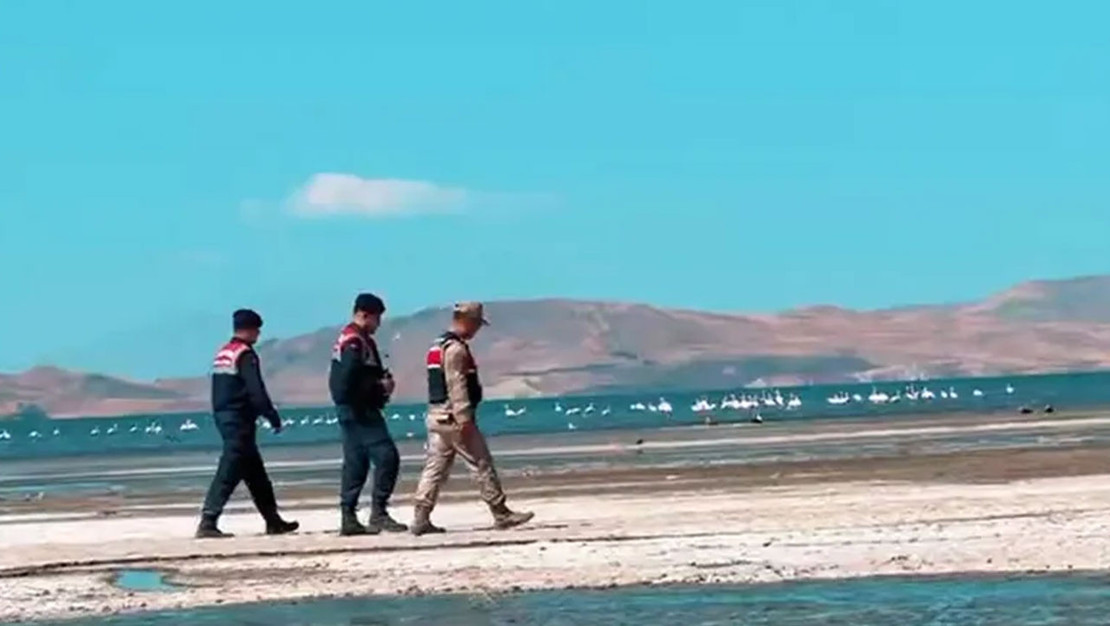 van-da-jandarma-flamingolari-koruma-calismasi-yurutuyor